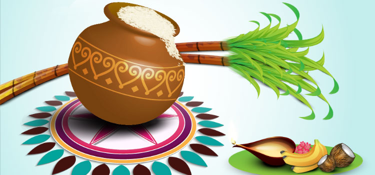 makar-sankranti-festivals