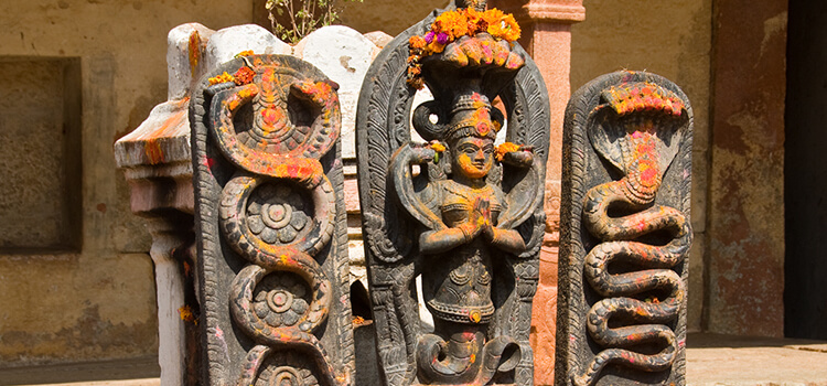 nag panchami puja