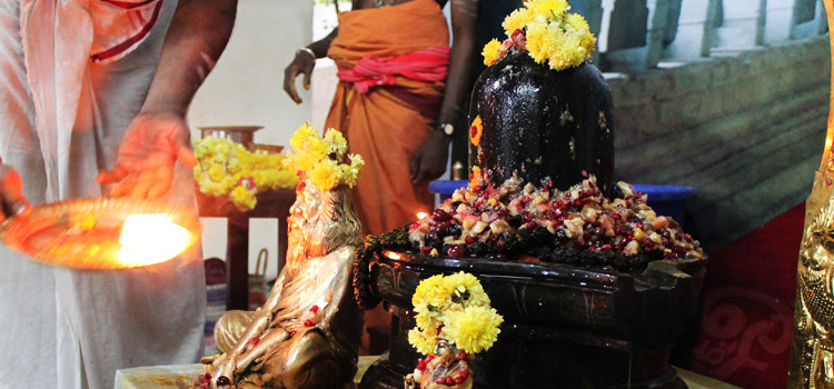 sani pradosham
